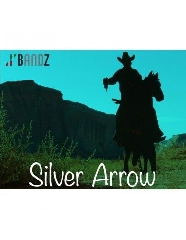 Silver Arrow Prestige
